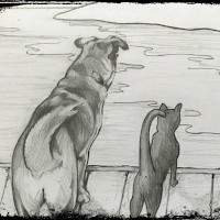 Lake Hartwell Vet Clinic
