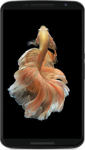 betta fish wallpaper Screenshot 2