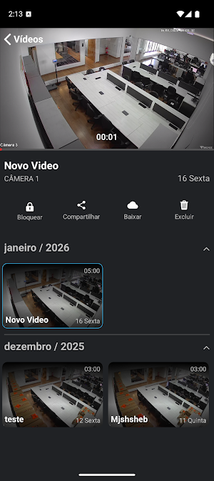NETBRcam Screenshot 1