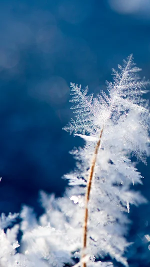 snow nature wallpaper Screenshot 0