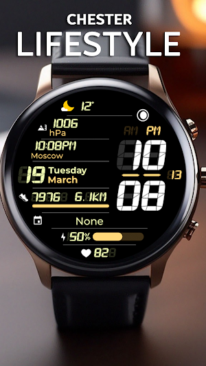 Chester Lifestyle watch face Screenshot 0