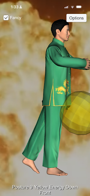 Tai Chi Energy Screenshot 0