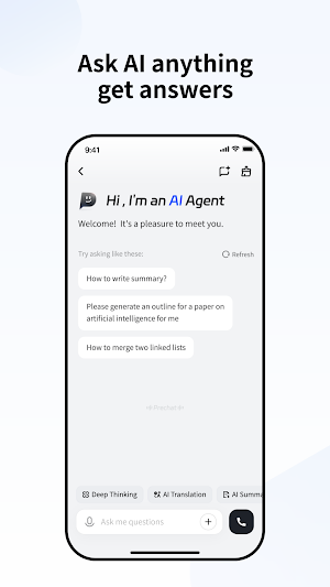 WitCEO Screenshot 2