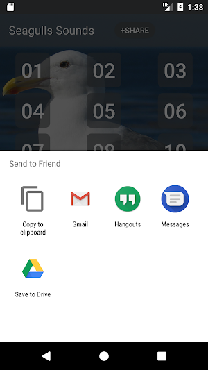 Seagull Sounds Screenshot 2