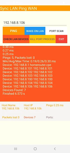 Sync LAN Ping WAN Screenshot 3