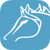 Poney's Club du Geer