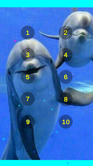 Dolphin Sounds Of The Sea Screenshot 1