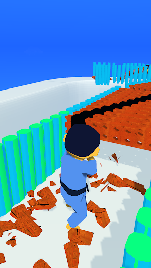 Kungfu Bricks Screenshot 1