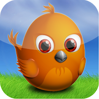 Bird Shooting