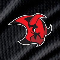 Saale Bulls