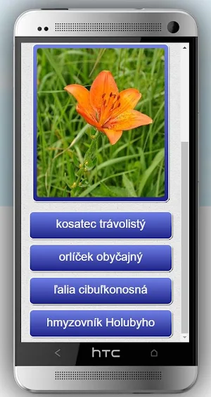 Žalostiná - Chvojnica Screenshot 1