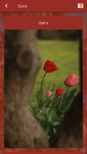 Mihai Crisan Screenshot 3