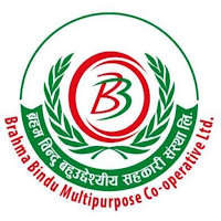 Brahma Bindu - MoFin