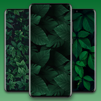 Dark Green Aesthetic Wallpaper