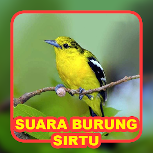 Suara Burung Sirtu Screenshot 0