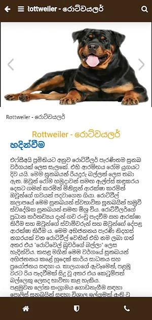 Pet Care Sinhalen Screenshot 3
