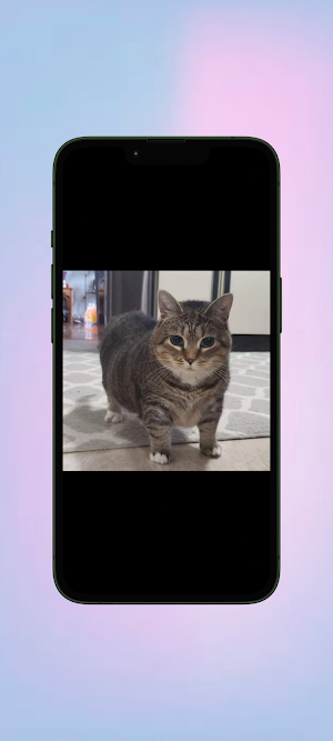 Kucing WalL Screenshot 2
