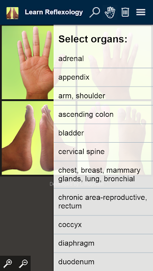 Learn Reflexology Areas Screenshot 1