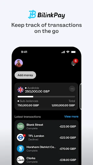 BilinkPay Screenshot 3