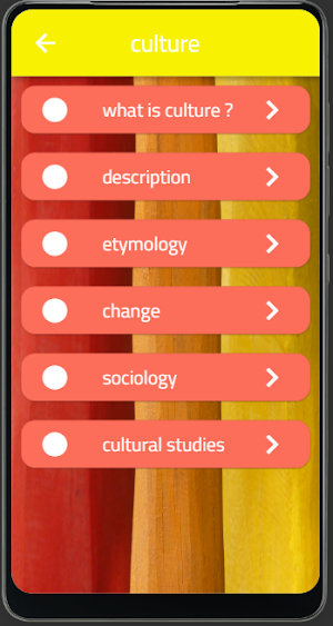 culture : culture capital Screenshot 2