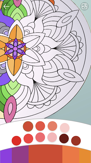 Coloring Plates: adults games Screenshot 1