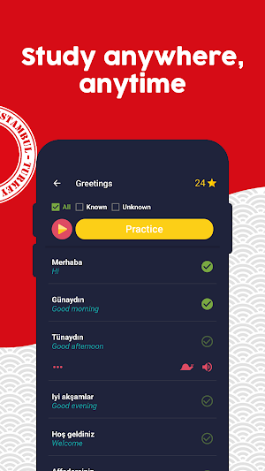 Learn Turkish - Beginners Screenshot 1