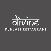 Divine Punjabi Indian