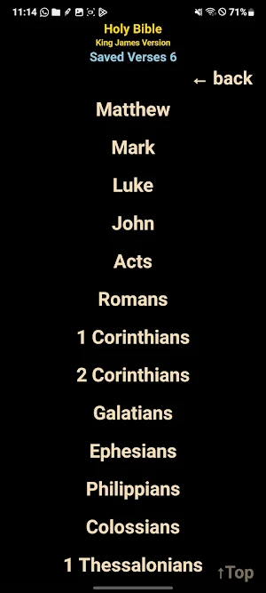 AI Holy Bible KJV Screenshot 3