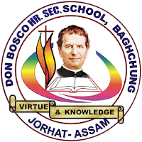 Don Bosco School Baghchung