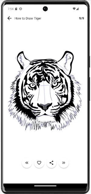How to Draw Tiger Step by Step Screenshot 2
