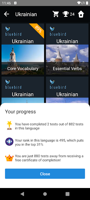 Ukrainian Language Tests Screenshot 2