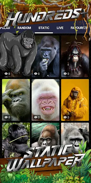 gorilla wallpaper Screenshot 3