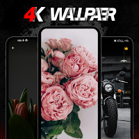 WallNova Pro: 4K HD Wallpapers