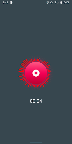 Dictaphone Screenshot 1