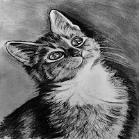 Charcoal Drawing