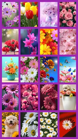 Flower Wallpapers - HD Gallery Screenshot 1