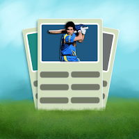Multiplayer Cricket Cards