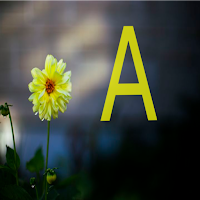 صور حرف A-خلفيات حرف A-صور a