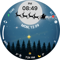 ACRO Christmas Winter Night