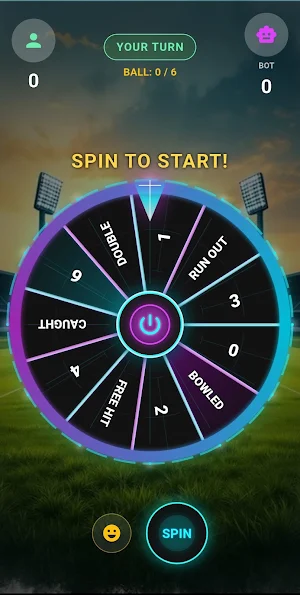 Spin Cricket Screenshot 2