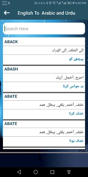 English Arabic & Urdu Dictionary & Translator Screenshot 3