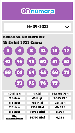 Şans Oyunları Sonuçları Screenshot 2
