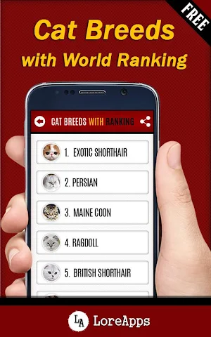 Cat Care Tips: Cat Names Screenshot 3