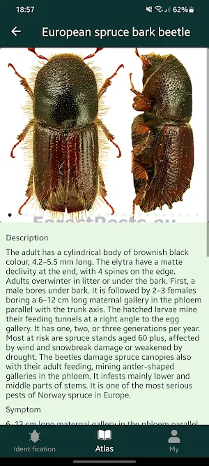 Forest pests Screenshot 3