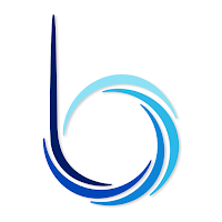 bluzone Coaching