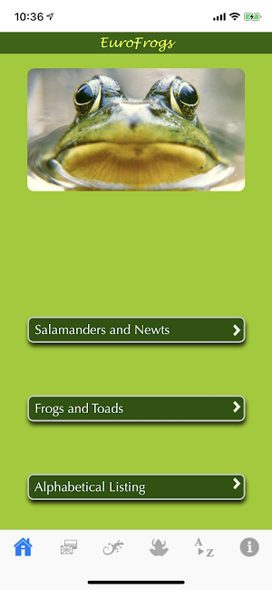 EuroFrogs Screenshot 0