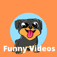 Funny Videos Comedy