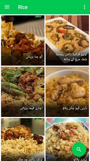Biryani Recipes in Urdu Screenshot 1