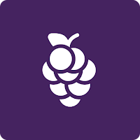 Vintellect