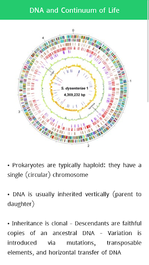 Molecular Biology Screenshot 3